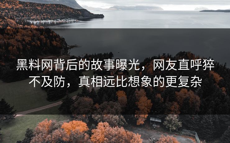 黑料网背后的故事曝光，网友直呼猝不及防，真相远比想象的更复杂