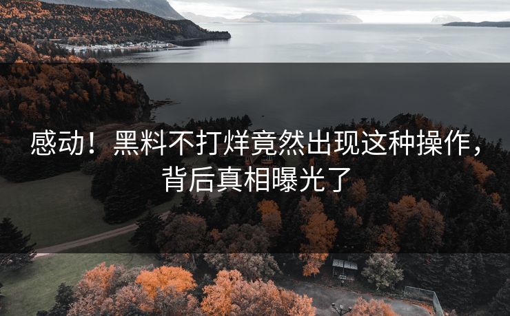 感动！黑料不打烊竟然出现这种操作，背后真相曝光了