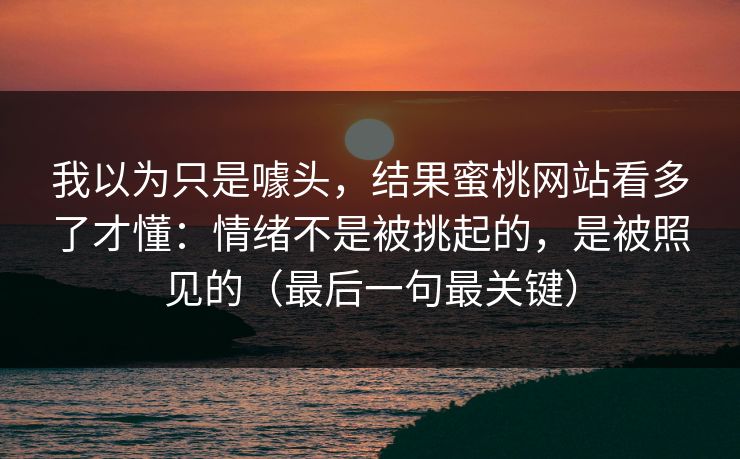 我以为只是噱头，结果蜜桃网站看多了才懂：情绪不是被挑起的，是被照见的（最后一句最关键）