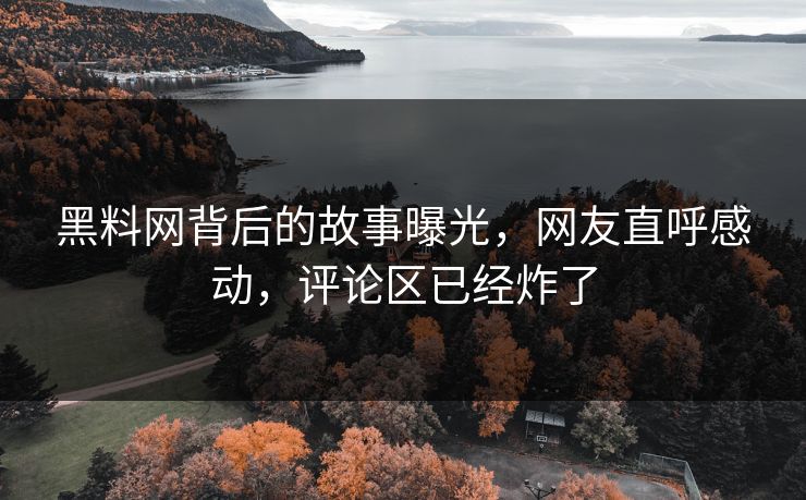 黑料网背后的故事曝光，网友直呼感动，评论区已经炸了