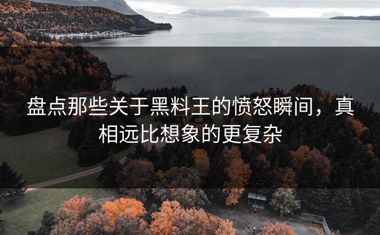 盘点那些关于黑料王的愤怒瞬间，真相远比想象的更复杂