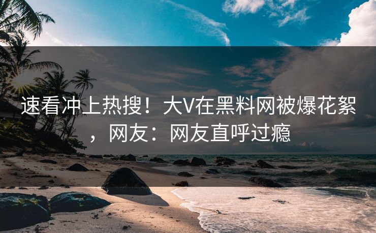 速看冲上热搜！大V在黑料网被爆花絮，网友：网友直呼过瘾